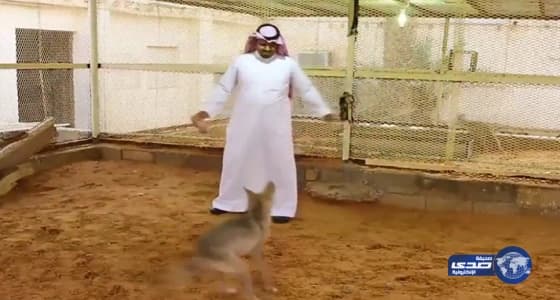 بالفيديو.. مواطن يربى الذئاب ويلهو معها بصحبة أطفاله