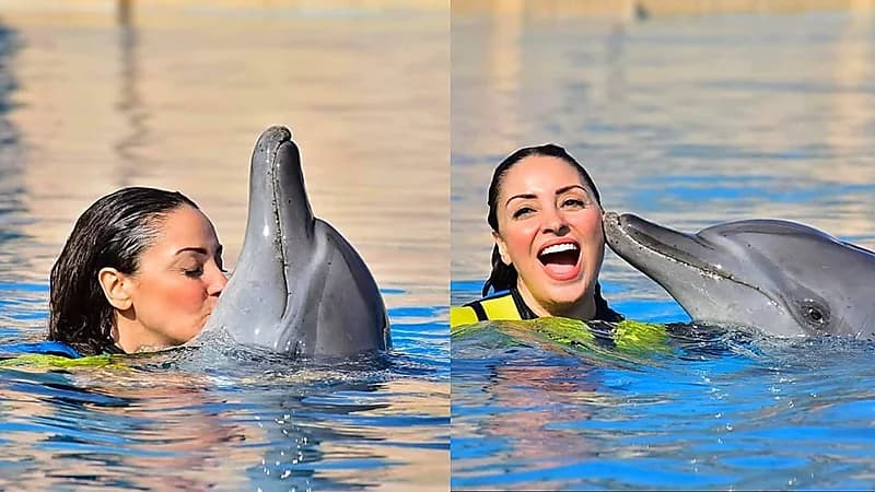 صور..نرمين الفقي: "وقعت في غرام الدولفين"