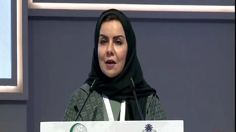 هبة التويجري: حظر فصل المرأة العاملة أثناء الحمل .. فيديو