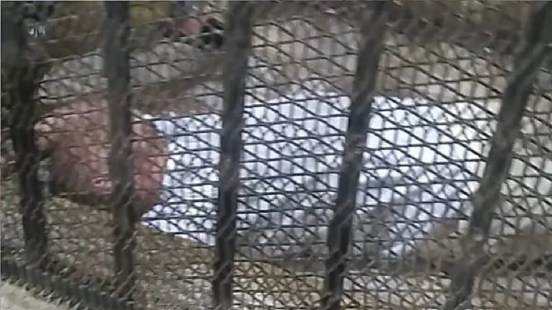 إغماء إمام مسجد حُكم عليه بالمؤبد بعد هتكه عرض طفلة