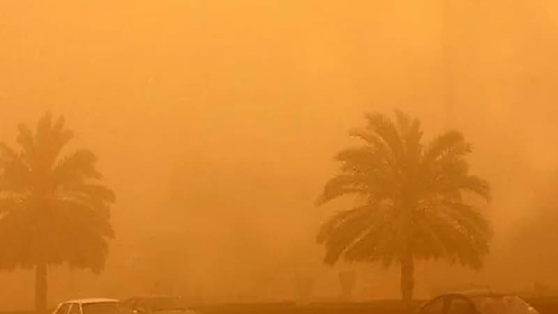 الحصيني: 2022 أقل الأعوام في العواصف الغبارية