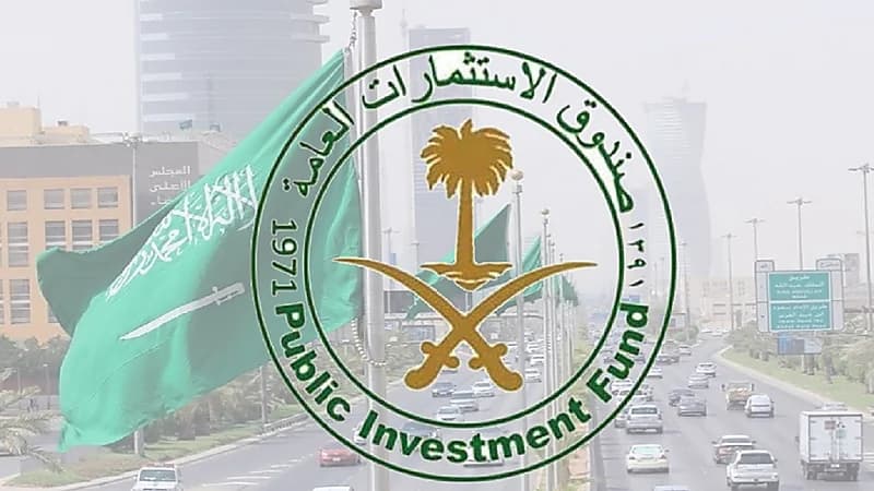 "صندوق الاستثمارات" يستحوذ على 9.5% من أسهم سكاي بورن رينيوبلز