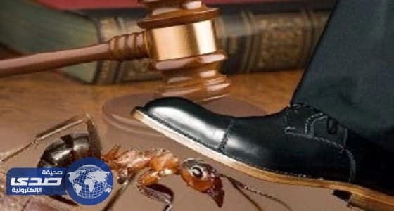 الإعلامية السودانية جدية عثمان سفيرة للسلام