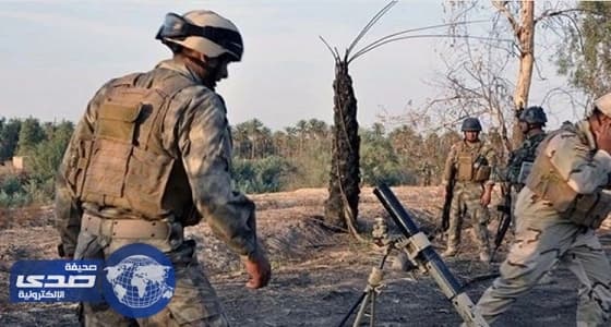 دايموند أوميجا هاتف جديد من أركوس