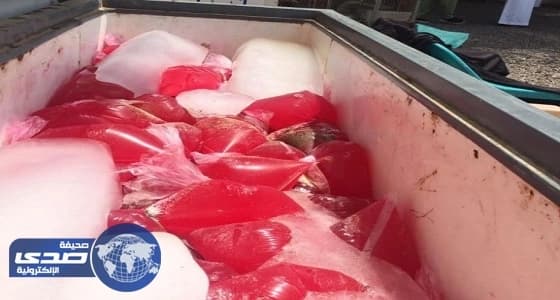 سامح شكري: رد قطر على مطالبنا «سلبي»