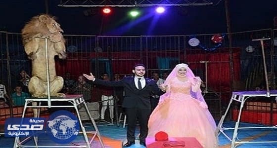 بالفيديو.. حيوان غريب يظهر في قرية بتبوك