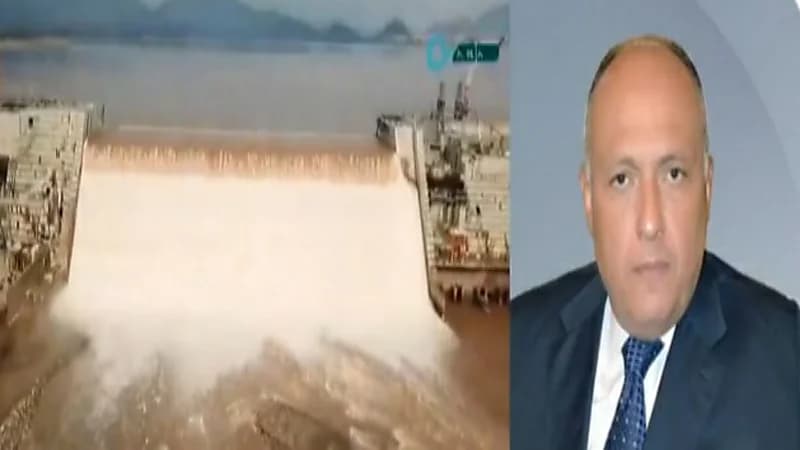 وزير الخارجية المصري: نسعى إلى اتفاق قانوني ملزم حول ملء وتشغيل سد النهضة "فيديو"