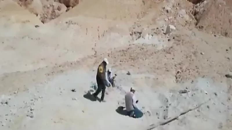 بالفيديو .. إطلاق مشروع المسح الجيولوجي في المملكة خلال أسابيع