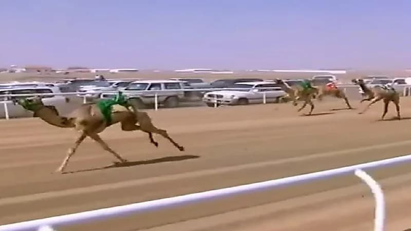 بالفيديو.. مُعلق بسباق الهجن يرسل سلامه لوزير الداخلية على الهواء وسموه يتفاعل