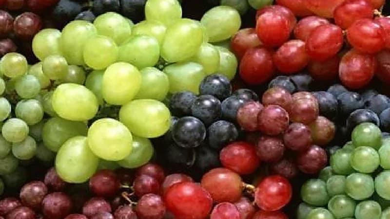 دراسة : "العنب" هو الفاكهة رقم 1 لعمر أطول