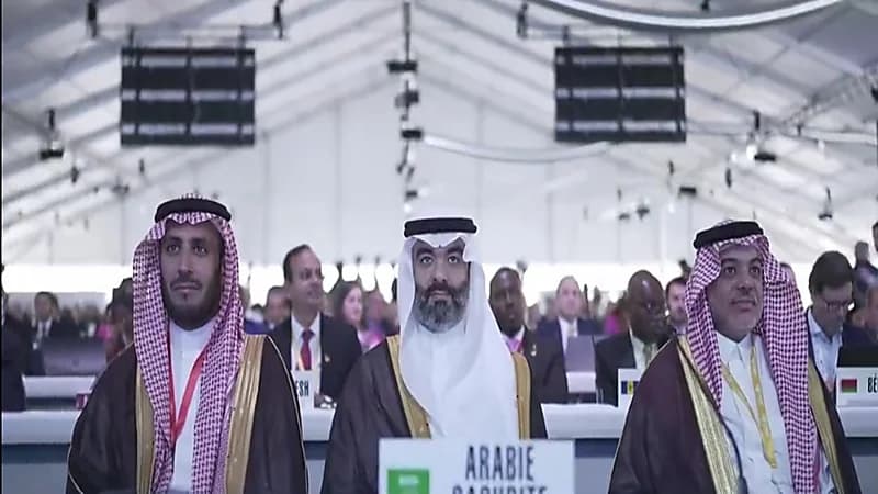 السواحة: المملكة ضمن أفضل 10 دول في سرعة وانتشار الإنترنت(فيديو)