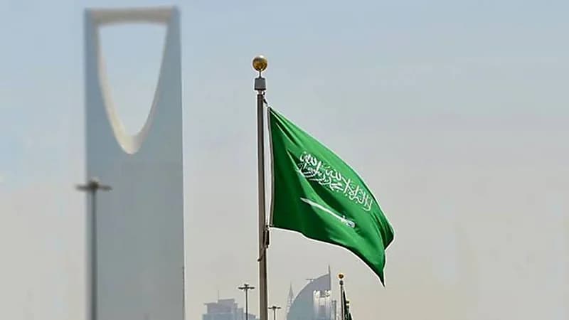 المملكة ضخت استثمارات في مصر بـ491مليون دولار خلال عام