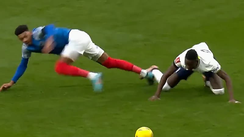 لقطة طريفة في مباراة بورتسموث وتوتنهام (فيديو)