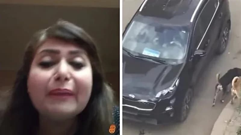 الراقصة هندية: رميته وأنا حرة