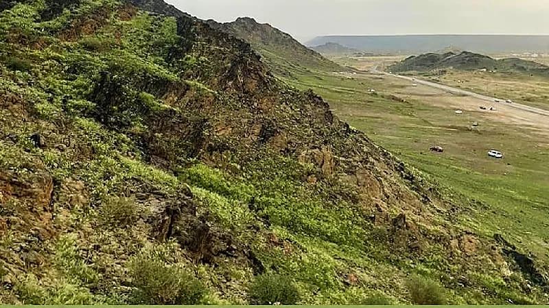 بالفيديو .. "المسند": اكتساء جبال مكة باللون الأخضر أمر معتاد