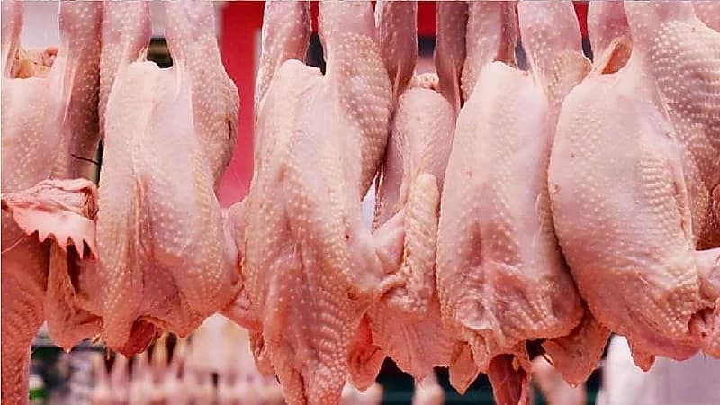 نصائح للحماية من الإصابة بالتسممات المنقولة باللحوم والدواجن