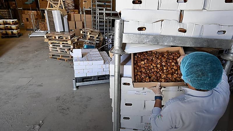 "الغذاء والدواء" تضبط أكثر من 11 طناً من المنتجات المخالفة