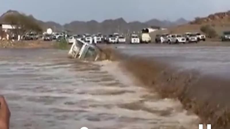 شاهد.. السيول تجرف "وايت" في سيول غرب المدينة المنورة