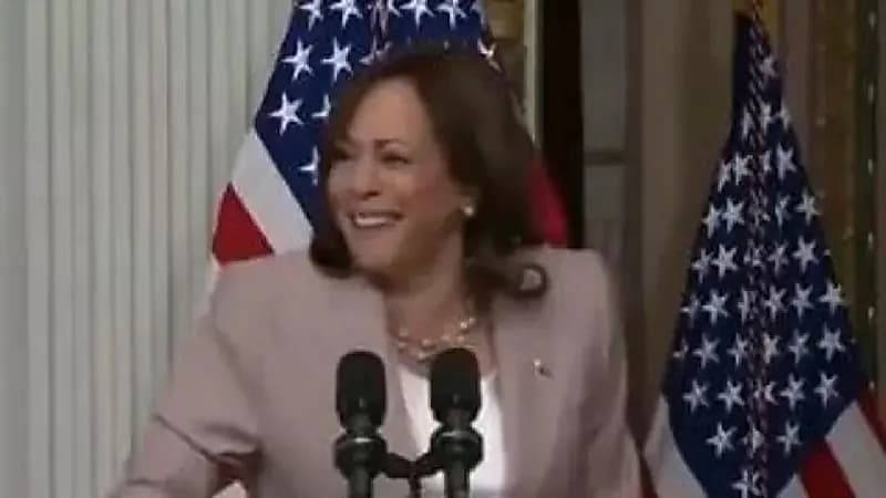 نائبة الرئيس الأمريكي تتصرف بشكل غريب على خشبة المسرح (فيديو)