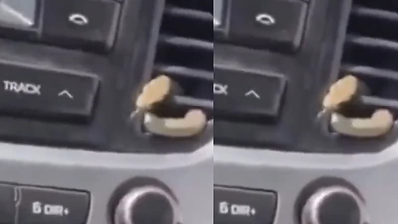 رجل يتفاجأ بخروج ثعبان من سيارته بسبب ارتفاع درجات الحرارة .. فيديو