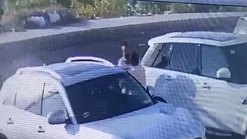 ضرب طبيب لبناني مشهور على طريق عام .. فيديو