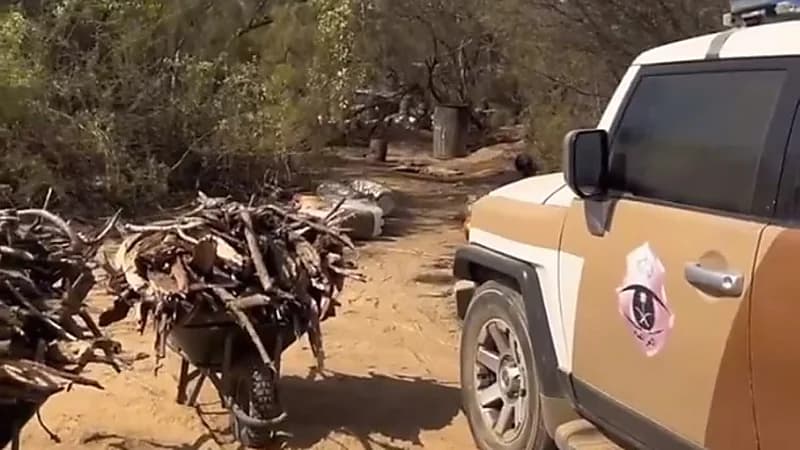 ضبط مخالفين بحوزتهما حطب محلي معروض للبيع في مكة المكرمة