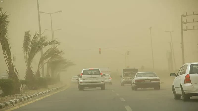 المملكة تسجل أقل معدلٍ للغبار لأول مرة منذ 20 عاما.. فيديو