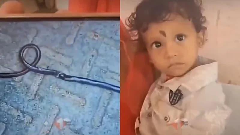 طفل رضيع يعض ثعبانًا حتى الموت خلال لعبه بالشرفة .. فيديو