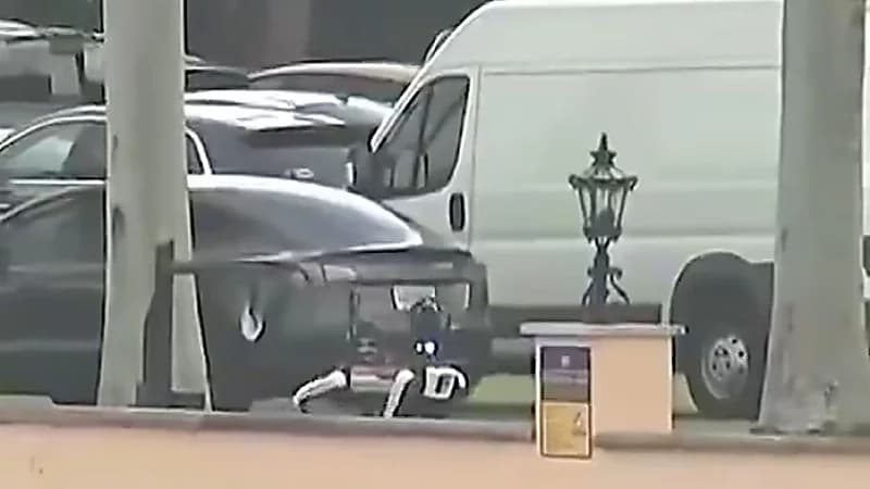 ترامب يستعين بكلاب آلية لحراسته في مقر اقامته .. فيديو