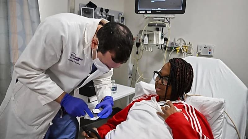 امرأة تخضع لعملية زراعة كلية خنزير