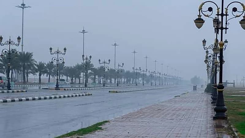 متحدث الأرصاد: انخفاض درجات الحرارة وأمطار على عدة مناطق .. فيديو