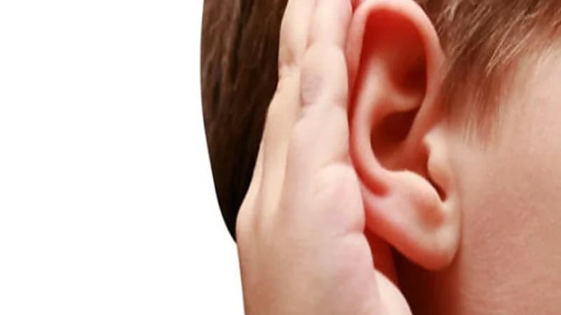 طفل يشكو من ضعف في السمع.. والسبب شجرة