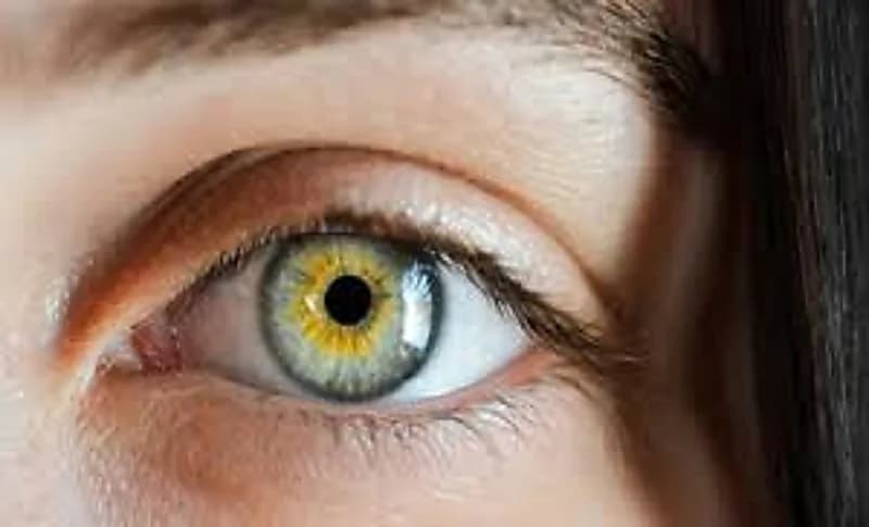 خبيرة تغذية توضح الأطعمة الأكثر فائدة لبصر قوي