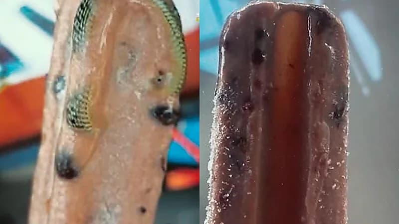 رجل يعثر على ثعبان داخل عبوة آيس كريم .. فيديو