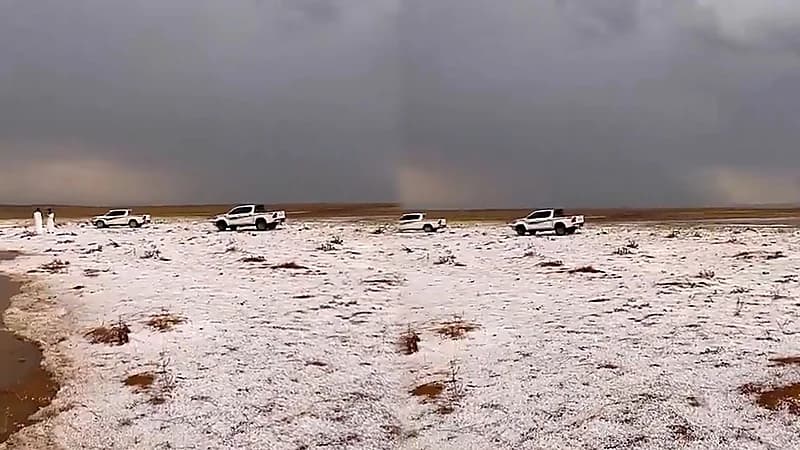 بردية قوية جنوب حائل.. فيديو