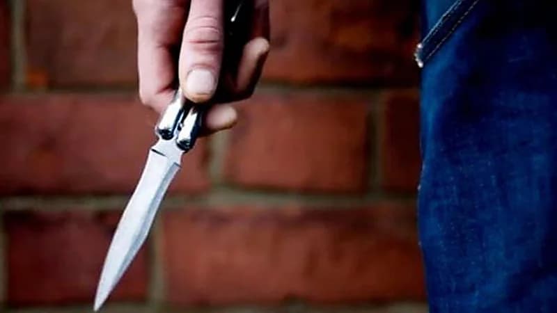 طفل مصري يتعرض للطعن وقتل كلبه أثناء دفاعه عنه