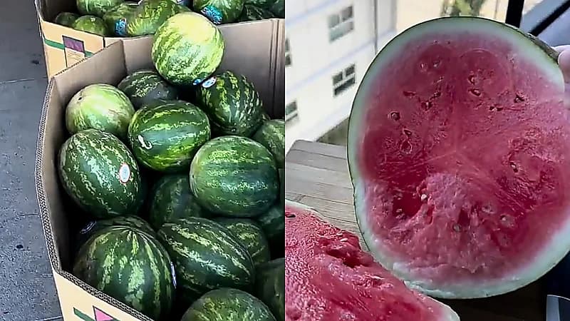 شاب يستعين بشات جي بي تي لاختيار البطيخة الأفضل والنتيجة مفاجِئة! .. فيديو