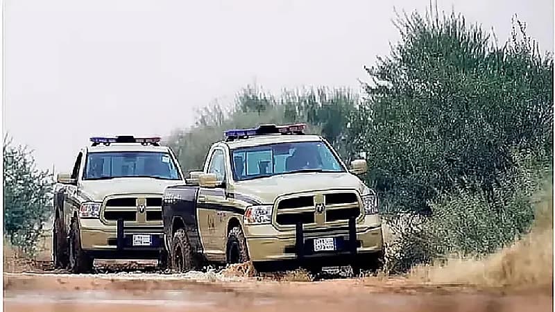 22 مخالفًا لنظام البيئة في قبضة الجهات الأمنية خلال أسبوع.. فيديو