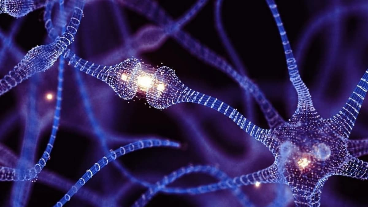 خريطة تفصيلية لتطور خلايا الدماغ تمهد لعلاجات جديدة للتوحد والفصام