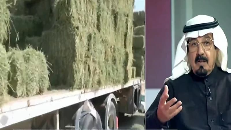 بالفيديو.. "السبيعي": أسعار الشعير خيالية ووزن الكيس قد لا يتوافق مع الاشتراطات