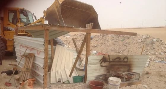 ضبط عمالة سائبة تذبح المواشي دون رقابة بغرب الدمام