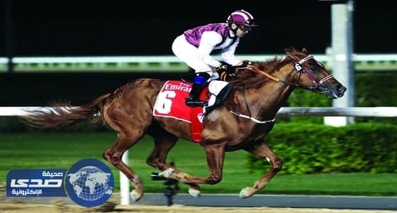 الشعب الياباني يتغلب علي مشاكل دراسة الخيول