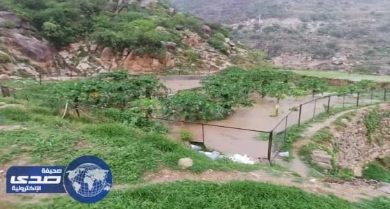 بالصور.. بدء الحقل الإرشادي الثاني في " جازان "