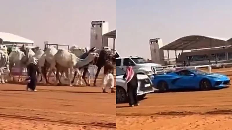 لحظة دخول منقية يعقوب بوشهري مهرجان الصياهد .. فيديو