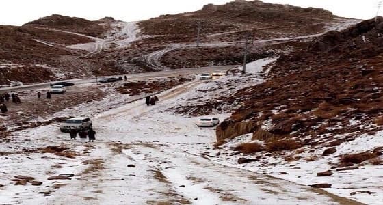بالفيديو والصور.. الثلوج تغطي جبل اللوز في تبوك
