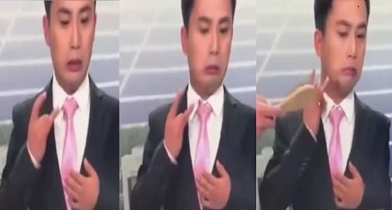 بالفيديو.. نحلة تهاجم مذيع على الهواء ورد فعل صادم للأخير