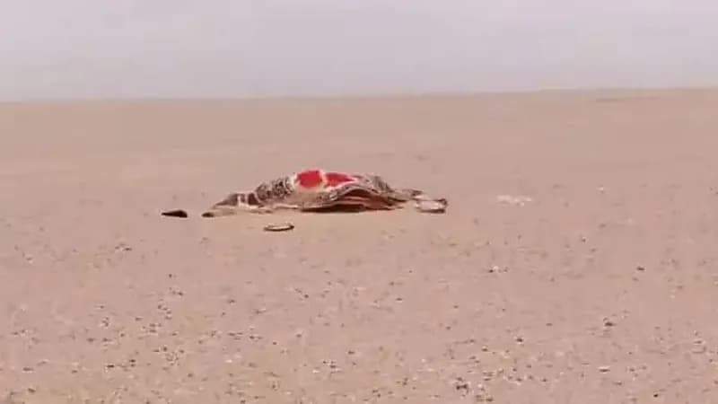 سالم العرجاني يروي قصة العثور علي مفقودي الأفلاج .. فيديو