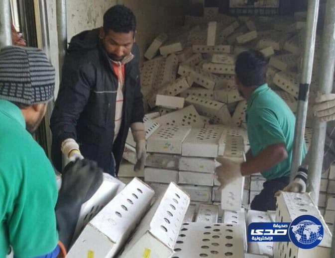 ضبط كميات كبيرة من الروبيان والأسماك المنتهية الصلاحية في الدمام