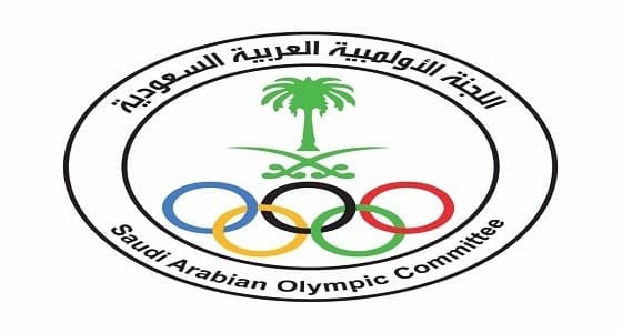 " آل الشيخ " يقبل استقالة رئيس اتحاد الرياضات الجوية ويعفي نائبه