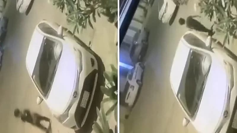 طفل يخرج من منزله فجرا ويمشي هو نائم..فيديو